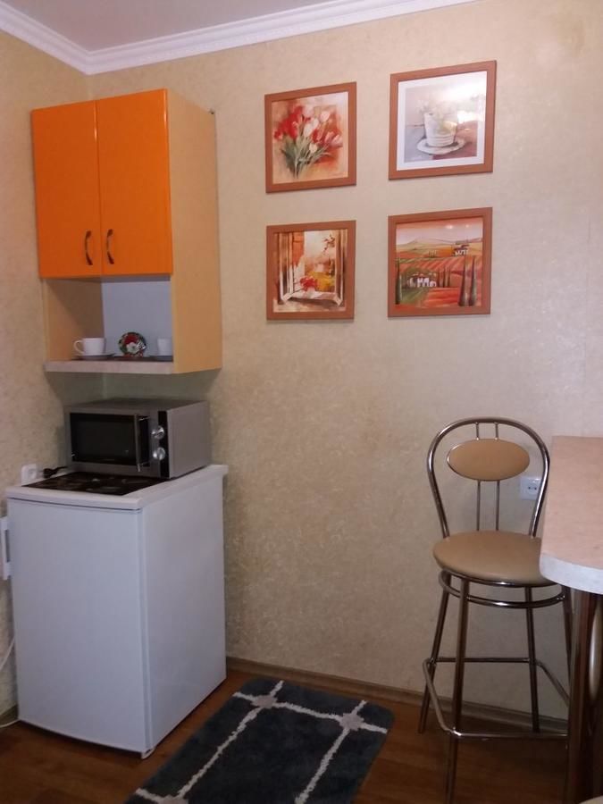 Апартаменты Summer in the Center of the City Херсон-29